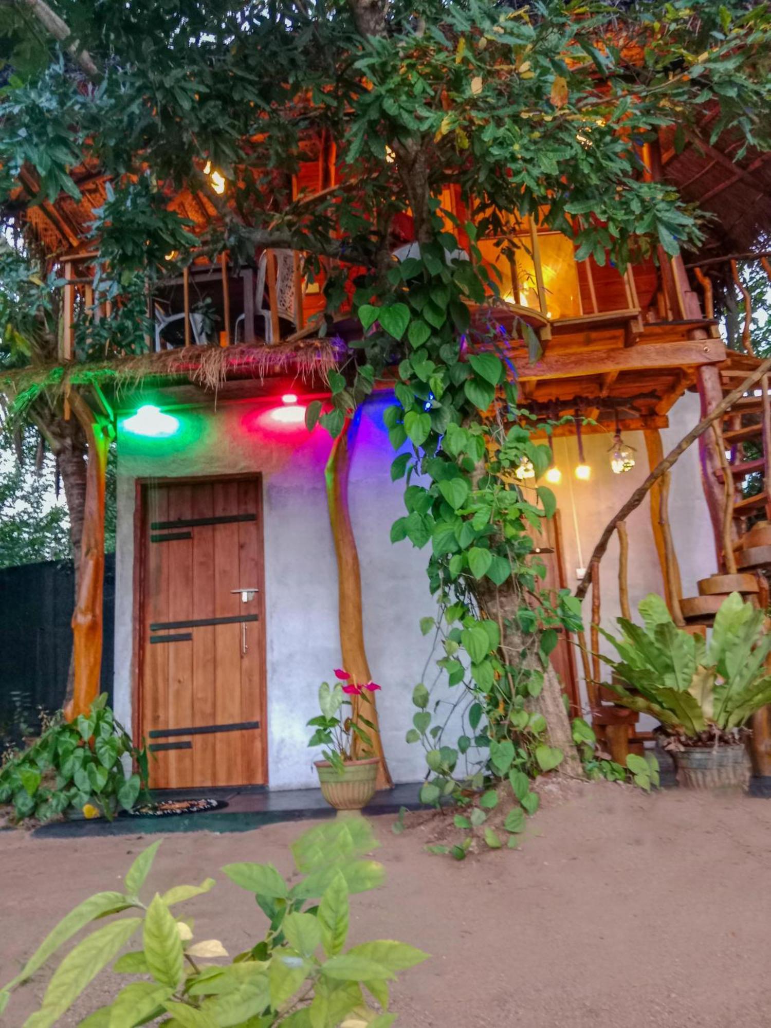 The Banda' Eco Villa สิกิริยา ภายนอก รูปภาพ